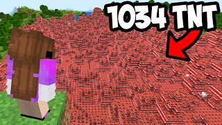 Using 1034 TNT To Take Over This Minecraft SMP…