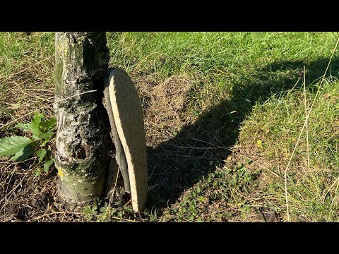 The Beauty in the Ugly (Richard Wentworth)