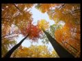 CURSE   Herbstwind Teil 3