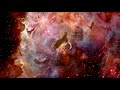 Shooting Star Meme Cat Jumping