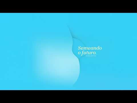 Transmissão ao vivo de Balneário Pinhal / RS