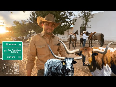 A Long Horn ranch in San Francisco de Borja, Chihuahua.