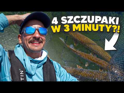 TAK MAŁO BRAKOWAŁO.. - SZWECJA DZIEŃ 2