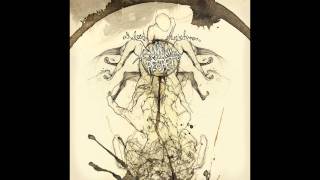 As Autumn Falls - The Blackout Pact