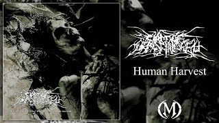 Circle of Dead Children - Human Harvest [Full-Length] (Old-School Brutal Deathgrind - 2003)