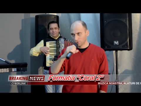 Gigel Oprea - Buna seara oameni mari (de nunta) !