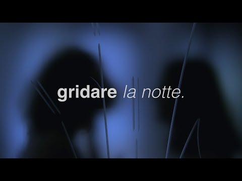 video frame placeholder