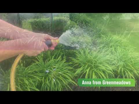 Saving H2o is the way to go! Water Saving Tip - Water well