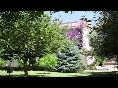 Apartments Arthur - Podstrana - Croatia