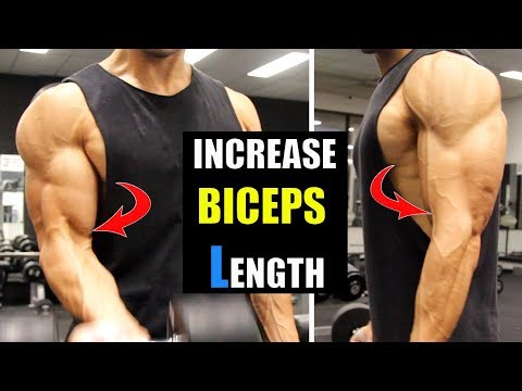 download lagu mp3 mp4 Bicep Length Workout, download lagu Bicep Length Workout gratis, unduh video klip Bicep Length Workout