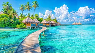 healing music for the heart and blood vessels 🌿 calms the nervous system and pleases the soul, Gent