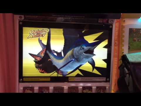 Armageddon Vertus vs Scorch