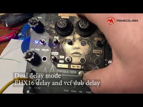 Immagine Maneco Labs FILTER EKO (eurorack) (BPNYC) - 3