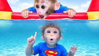 Download lagu ลูกลิงน้อยบอนบอนสนุกสนานกับพี่ชายลิงของเขาที่สระว่ายน้ำ mp3