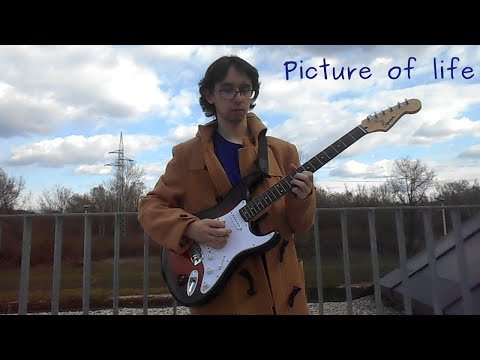 Dogs in the park - Dogs in the park - Picture of life (official music video)