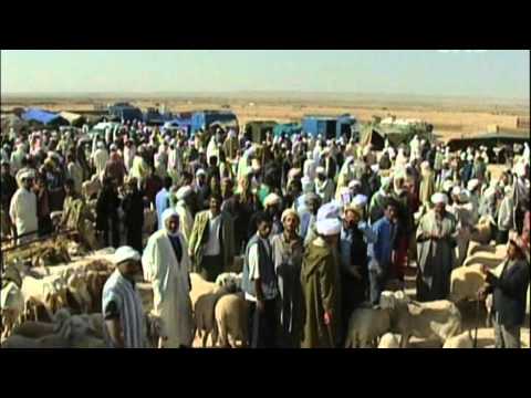 Ahmed Zaoui in New Zealand (Part 1)