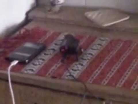 Tabara Rosia Noua - Biserica