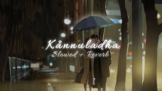 Download lagu Kannuladha - ( Slowed   Reverb ) || 3 || Dhanush || Shruti Hassan || Telugu Songs mp3