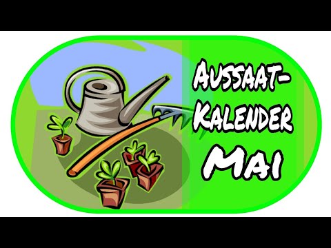 🌻Aussaatkalender Mai - Vorzucht zu Hause 🌻// Garten // Anzucht //Aussaat // Gewächshaus