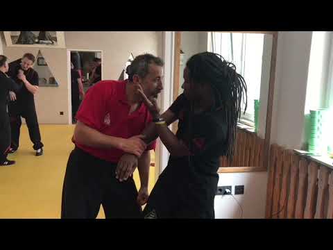 download lagu mp3 mp4 Avci Wing Chun, download lagu Avci Wing Chun gratis, unduh video klip Avci Wing Chun
