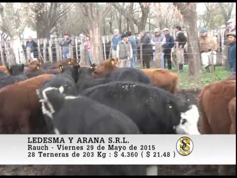 29-05-15 Venta de Invernada - Ledesma y Arana S.R.L. - Rauch
