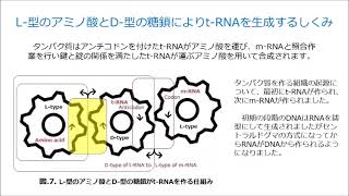 タンパク質の複製に遺伝暗号が使用される理由