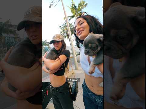 $6000 por ambos perros… 🐶