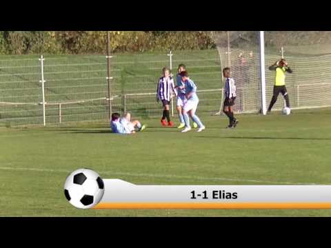 Samenvatting Hermes DVS JO13-2 -  Zwaluwen JO13-3