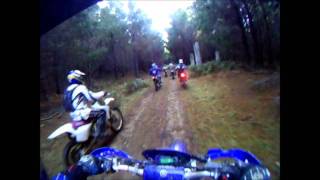 preview picture of video 'Hampton State Forest NSW'