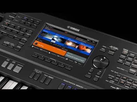 Aray Cover juga gama so deit nia 2024🔥😎