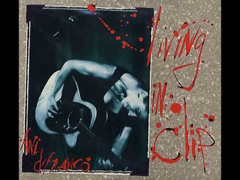 Willing to Fight - Ani Difranco