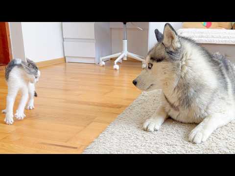 YouTube 썸네일