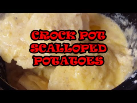 download lagu mp3 mp4 Crock Pot Scalloped Potatoes And Ham Recipe, download lagu Crock Pot Scalloped Potatoes And Ham Recipe gratis, unduh video klip Crock Pot Scalloped Potatoes And Ham Recipe