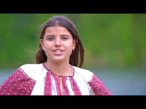 Diana Victoria Sandu   Jos în păduricea deasă