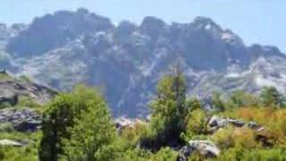 Refugio del tricahue