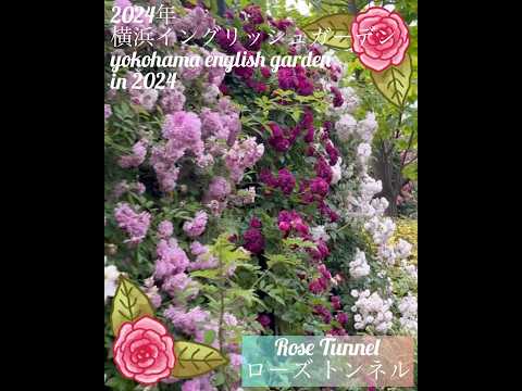 ガーデンコーナーの新しい席 トピックス