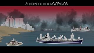 La Caixa Acidificación de los océanos. Exposición "Mediterráneo" | #CosmoCaixa anuncio