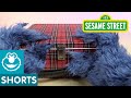 Sesame Street Cookie Monster Unboxes A Lunchbox