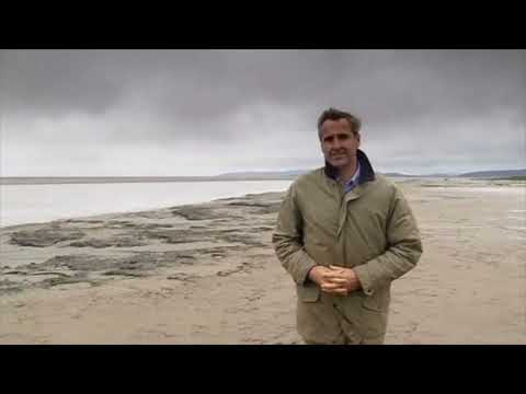 Real Crime: Death On The Bay - Documentary