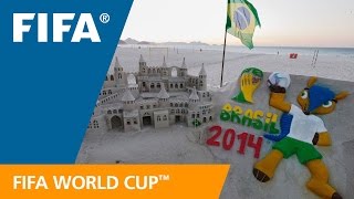 Meet Fuleco: Fun on the beach