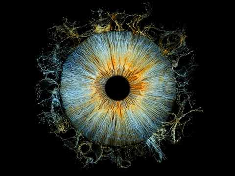 Seven Kayne, Einer Bankz - desde que llegaste | buscando la luz | buscando la luz deluxe (audio)