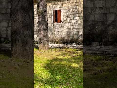 ?abljak (Cetinje) - 定義