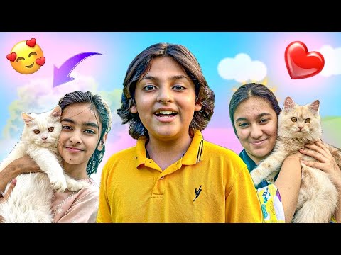 Meet My 2 Cats 🐈 || Mufasa & Wite || Entertainment