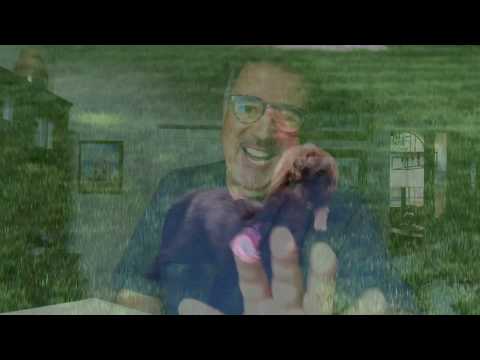 #849 I respect others