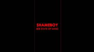Shameboy - What The Fuzz