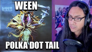 Ween Polka Dot Tail First Listen Reaction