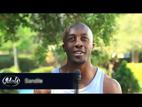 Idols Sa 2018 Top 16 boys-Heres why they wants you votes