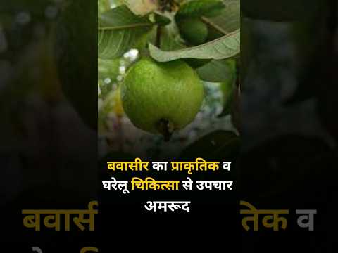 Treatment of piles with natural and home remedies : Guava #piles #constipation #hemorrhoids