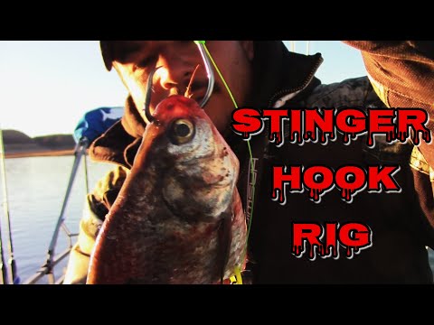 Stinger Hook Rig CATCH MORE FISH During The Short Bite