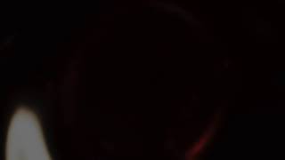 【モンハン】ハンター生活11日目【ワイルズ】
